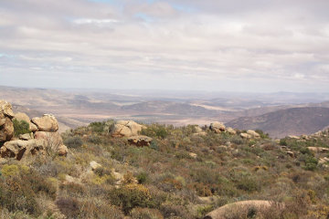 The coastal plain below the Naries escarpment in north-western South Africa